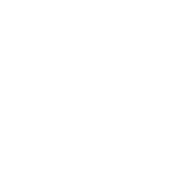 NxtWise Logo